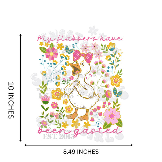 Flabbergasted Goose DTF Transfer – Funny Farm Animal Iron-On – Cute Goose Heat Transfer for Shirts, Bags, DIY Humor Gift