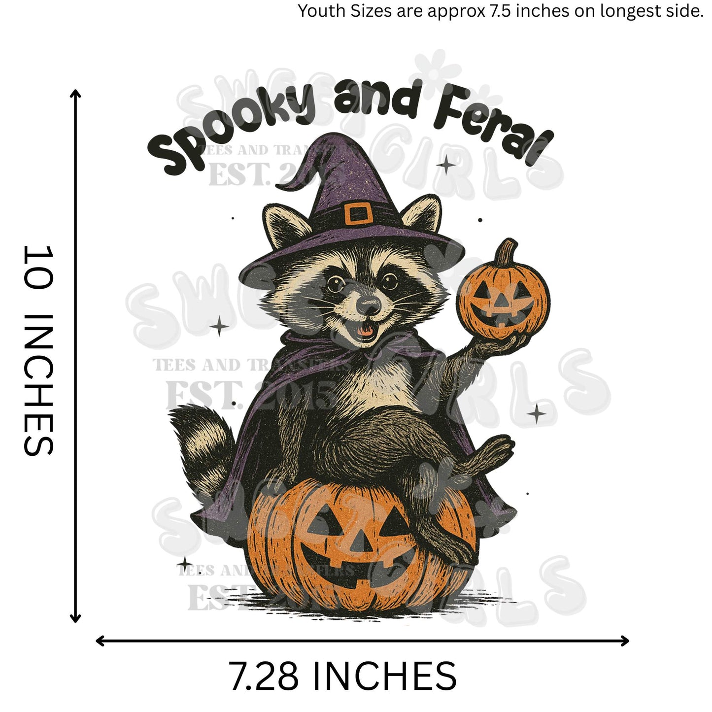 Spooky and Feral Halloween Raccoon HEAT TRANSFER – DTF Iron-On Transfer with Pumpkin and Witch Hat – Cute & Creepy for Fall Apparel and Trick-or-Treat Bags