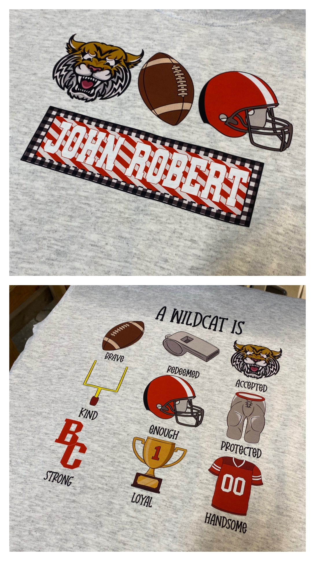 A Wildcat Is…