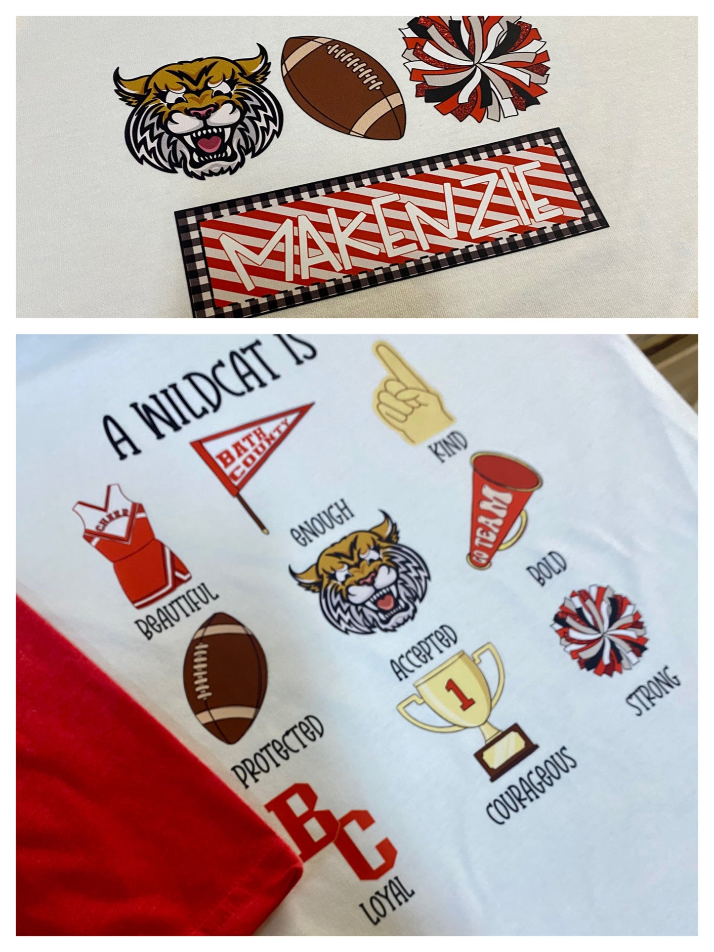 A Wildcat Is…