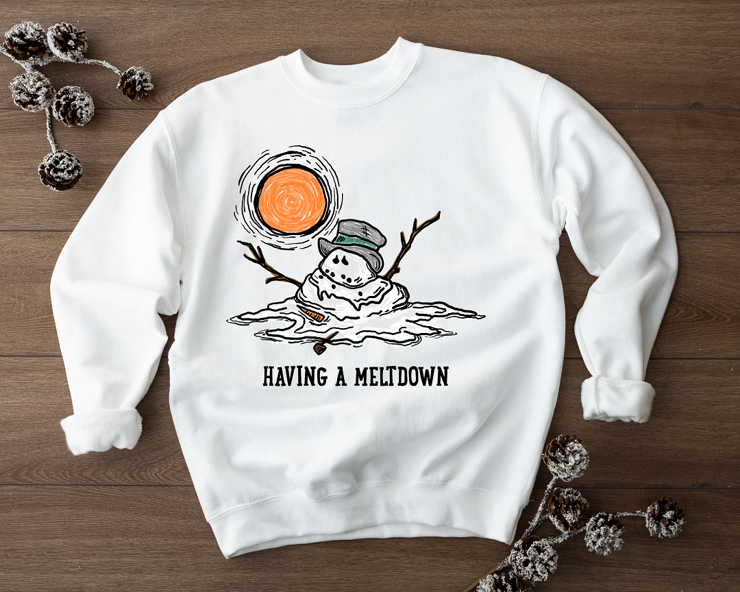 I'm Having A Meltdown Adult Tee, Raglan, or Sweatshirt