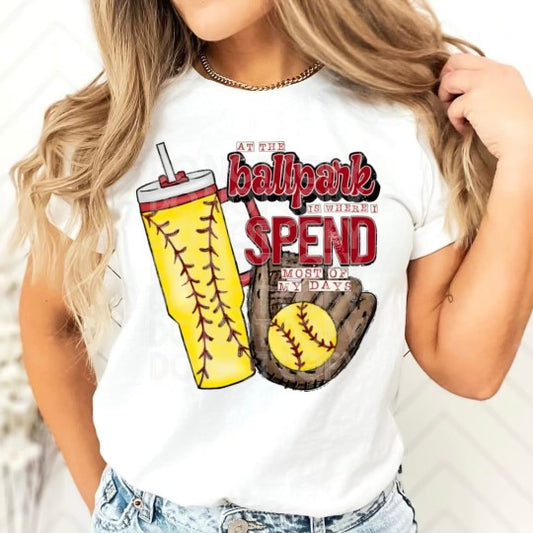 At the Ballpark (Softball) Tees & DTFs