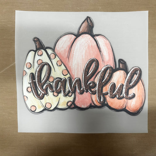 Thankful Pumpkins DTF